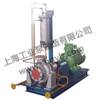 HGB-Z Petro-Chemical Process Pump