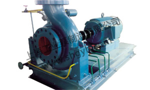 RSX-Z High Temperature Hot Water Circulating Pump